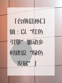 台前县孙口镇：以“红色引擎”驱动乡村建设“绿色发展”