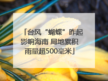 台风“蝴蝶”昨起影响海南 局地累积雨量超500毫米