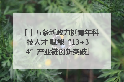 十五条新政力挺青年科技人才 赋能“13+34”产业链创新突破