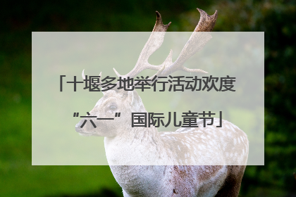十堰多地举行活动欢度“六一”国际儿童节