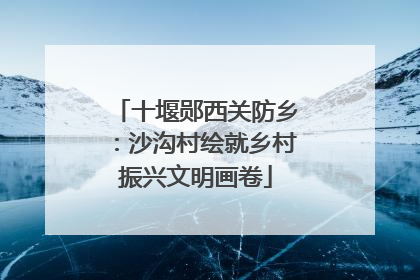 十堰郧西关防乡：沙沟村绘就乡村振兴文明画卷