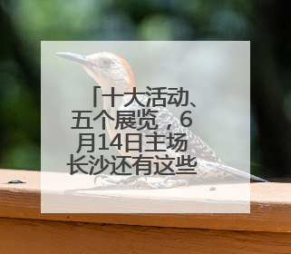 十大活动、五个展览，6月14日主场长沙还有这些文化大餐