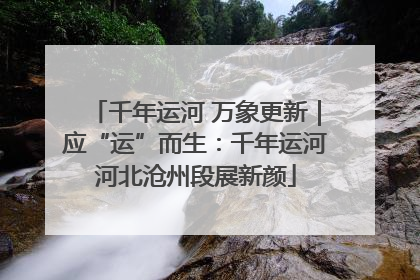 千年运河 万象更新｜应“运”而生：千年运河河北沧州段展新颜