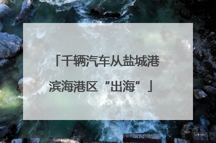 千辆汽车从盐城港滨海港区“出海”