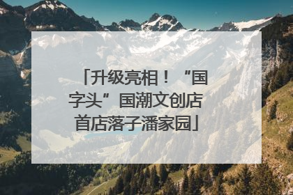 升级亮相！“国字头”国潮文创店首店落子潘家园