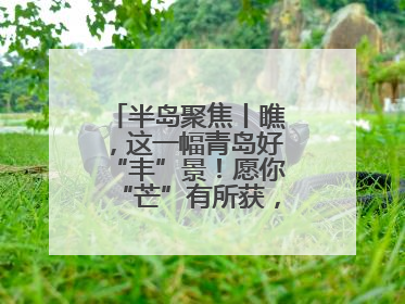 半岛聚焦丨瞧，这一幅青岛好“丰”景！愿你“芒”有所获，“种”有所得