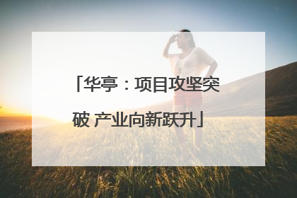 华亭：项目攻坚突破 产业向新跃升