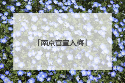 南京官宣入梅