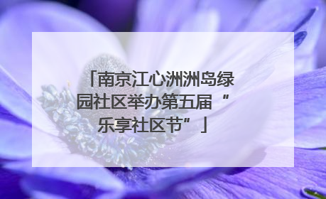 南京江心洲洲岛绿园社区举办第五届“乐享社区节”
