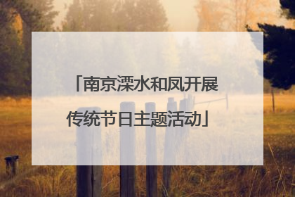 南京溧水和凤开展传统节日主题活动