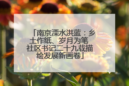南京溧水洪蓝：乡土作纸、岁月为笔 社区书记二十九载描绘发展新画卷