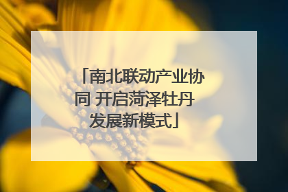 南北联动产业协同 开启菏泽牡丹发展新模式