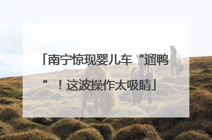 南宁惊现婴儿车“遛鸭”！这波操作太吸睛