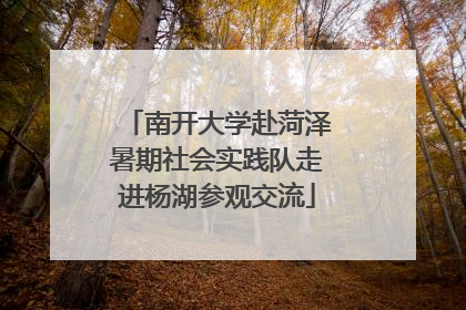 南开大学赴菏泽暑期社会实践队走进杨湖参观交流