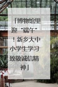 博物馆里迎“端午”！新乡大中小学生学习致敬诚信精神