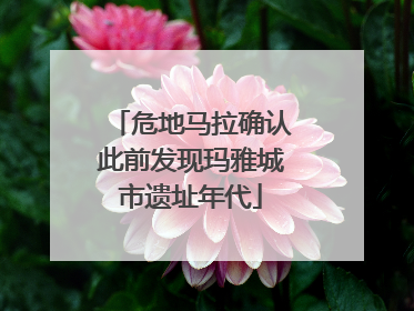 危地马拉确认此前发现玛雅城市遗址年代
