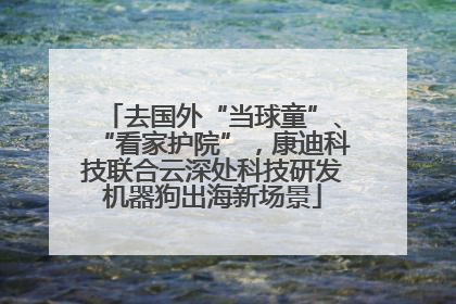 去国外“当球童”、“看家护院”，康迪科技联合云深处科技研发机器狗出海新场景