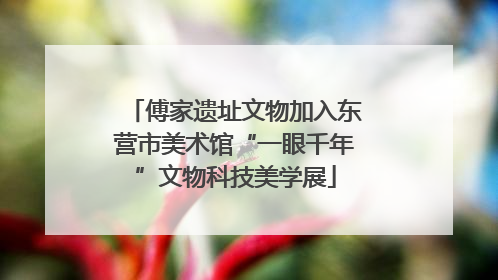 傅家遗址文物加入东营市美术馆“一眼千年”文物科技美学展