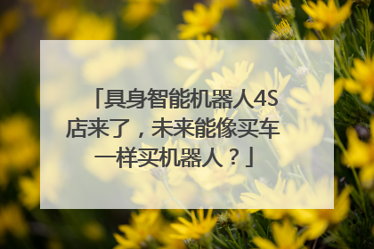 具身智能机器人4S店来了，未来能像买车一样买机器人？