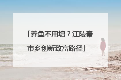 养鱼不用塘？江陵秦市乡创新致富路径