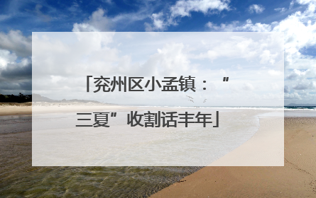 兖州区小孟镇：“三夏”收割话丰年