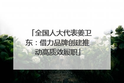 全国人大代表姜卫东：借力品牌创建推动高质效履职