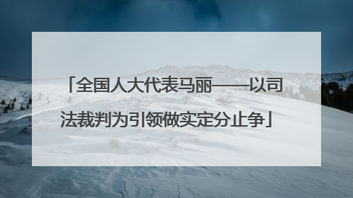 全国人大代表马丽——以司法裁判为引领做实定分止争