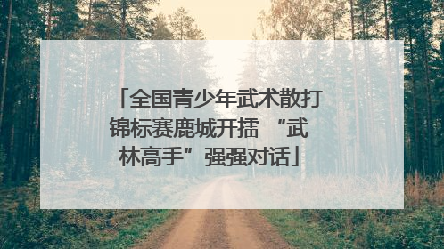 全国青少年武术散打锦标赛鹿城开擂 “武林高手”强强对话