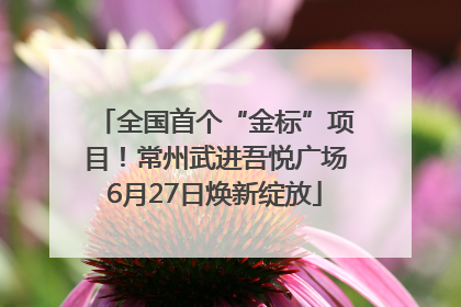 全国首个“金标”项目！常州武进吾悦广场6月27日焕新绽放