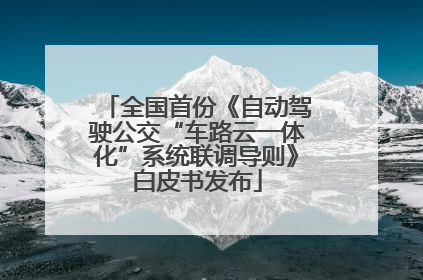 全国首份《自动驾驶公交“车路云一体化”系统联调导则》白皮书发布
