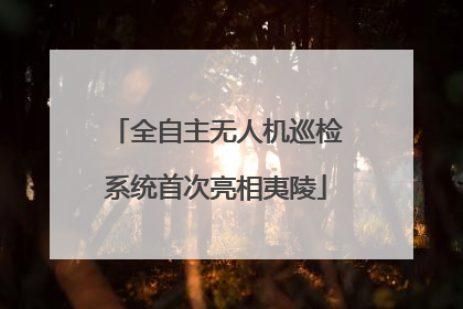 全自主无人机巡检系统首次亮相夷陵