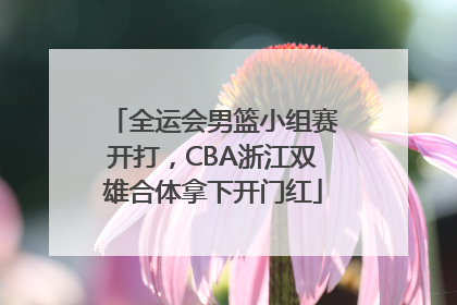全运会男篮小组赛开打，CBA浙江双雄合体拿下开门红