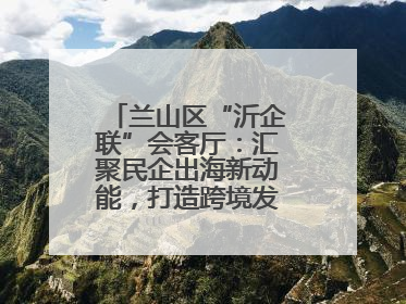 兰山区“沂企联”会客厅：汇聚民企出海新动能，打造跨境发展“强磁场”