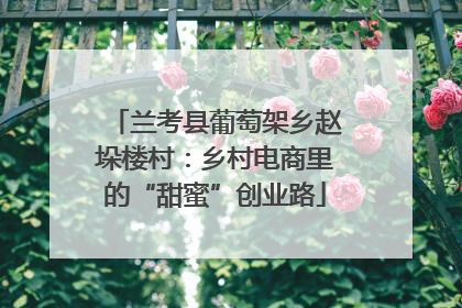 兰考县葡萄架乡赵垛楼村：乡村电商里的“甜蜜”创业路