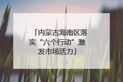 内蒙古海南区落实“六个行动”激发市场活力