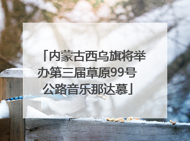 内蒙古西乌旗将举办第三届草原99号公路音乐那达慕