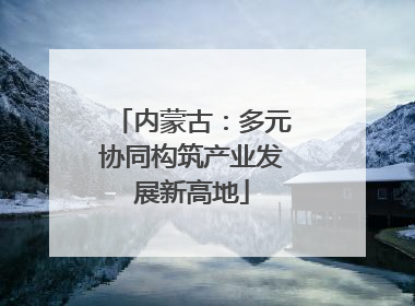 内蒙古：多元协同构筑产业发展新高地