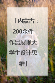 内蒙古：200余件作品展现大学生设计思维