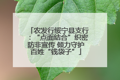 农发行绥宁县支行：“点面结合”织密防非宣传 倾力守护百姓“钱袋子”