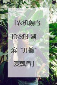 农机轰鸣抢农时 湖滨“开镰”麦飘香