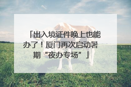出入境证件晚上也能办了！厦门再次启动暑期“夜办专场”