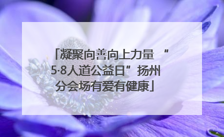 凝聚向善向上力量 “5·8人道公益日”扬州分会场有爱有健康