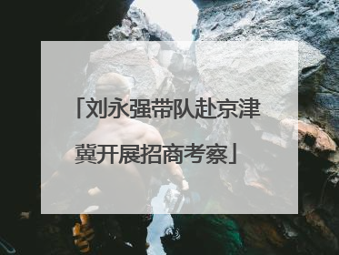 刘永强带队赴京津冀开展招商考察