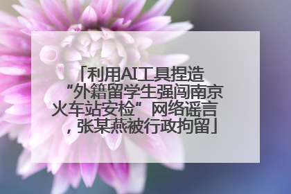 利用AI工具捏造 “外籍留学生强闯南京火车站安检”网络谣言，张某燕被行政拘留
