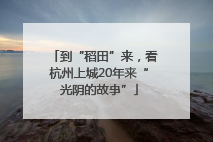 到“稻田”来，看杭州上城20年来“光阴的故事”