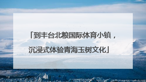 到丰台北粮国际体育小镇，沉浸式体验青海玉树文化