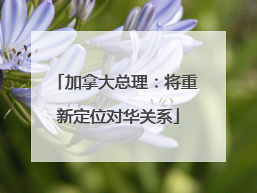 加拿大总理：将重新定位对华关系
