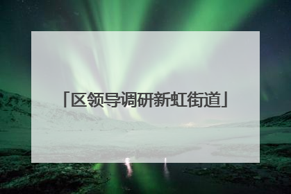 区领导调研新虹街道