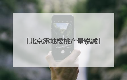 北京露地樱桃产量锐减