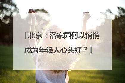 北京：潘家园何以悄悄成为年轻人心头好？